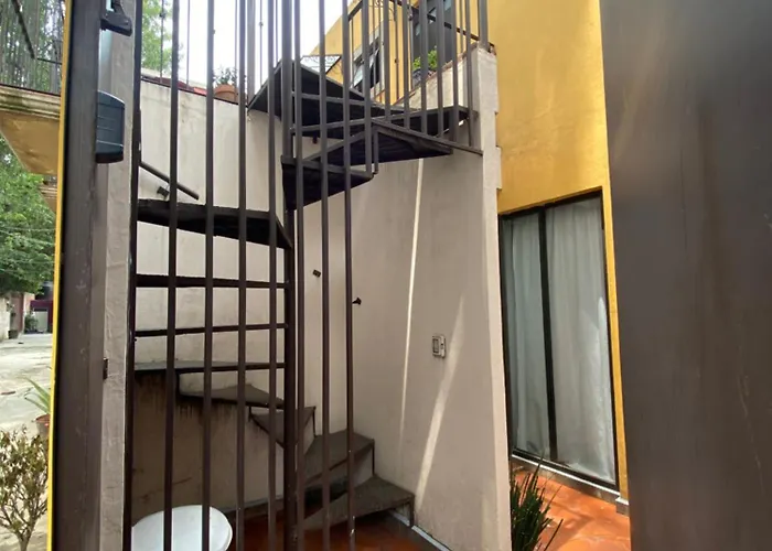 Hermoso Dpto Centro De Coyoacán *